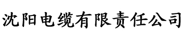 理论片在线观看网电缆厂logo